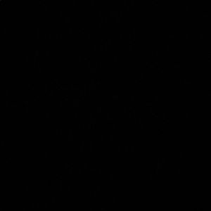 Meet your Posher, Amirah